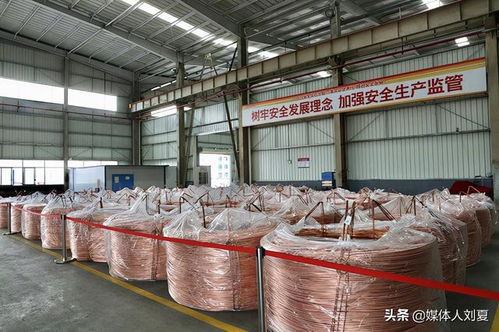 湘潭金龍新材料 正在向綠色環保的智能制造進發